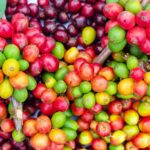 fruit surrounding coffee seed