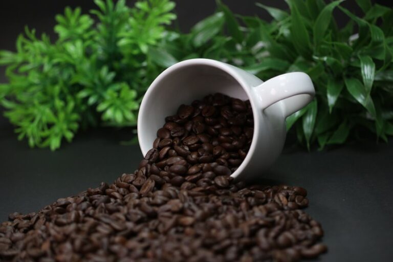 high quality aromatic coffee bean