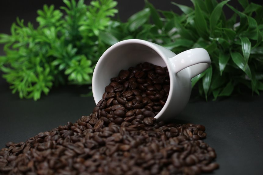 high quality aromatic coffee bean