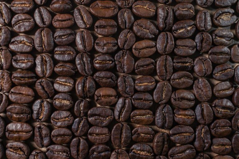 high quality traceable coffee beans