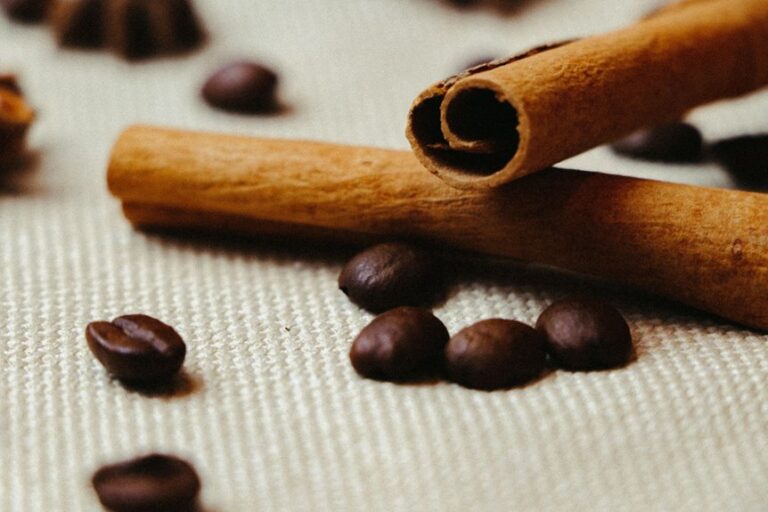 nutty chocolate medium body