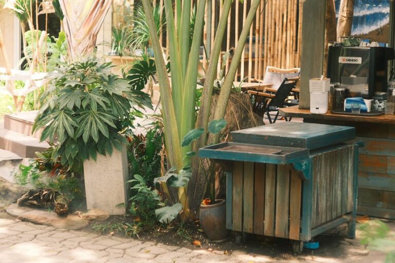 shade grown coffee protects biodiversity